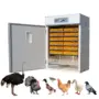 350 eggs AC/DC Poultry Incubator