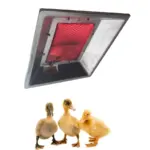 Infrared Gas Brooder Chick Warmers Steps Farmcare Centre