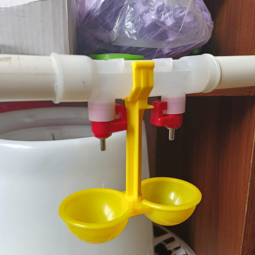Exploring The Versatility Of Chicken Nipple Drinkers For Nairobi Farmers 1 Double Steps Farmcare Centre