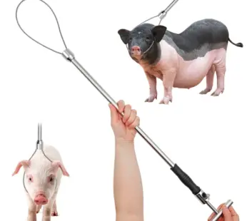 Heavy Duty Pig Restrainers