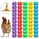 taggs 1 Steps Farmcare Centre