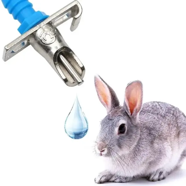 Rabbit Nipple Drinkers - Image 2
