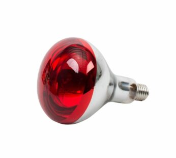 250 Watts Infrared Brooding Bulbs with Holder